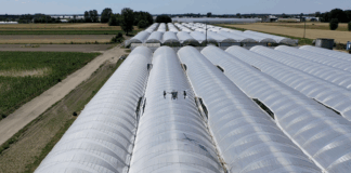 Cieniowanie tuneli z papryką przy pomocy dronów cieniowanie tuneli