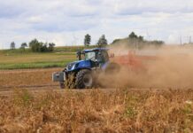 Nowe przepisy dotyczące ziemniaków potencjalnie zagrożonych bakteriozą pierścieniową ziemniaki, bakterioza pierścieniowa, bakteriozą pierścieniową zakażone ziemniaki