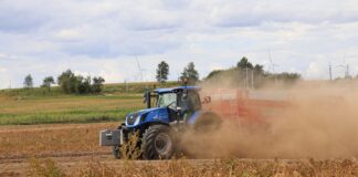 Nowe przepisy dotyczące ziemniaków potencjalnie zagrożonych bakteriozą pierścieniową ziemniaki, bakterioza pierścieniowa, bakteriozą pierścieniową zakażone ziemniaki