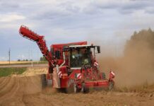 Spożycie przetworzonych ziemniaków w Europie wyższe niż świeżych III Ogólnopolskie Targi Ziemniaczane