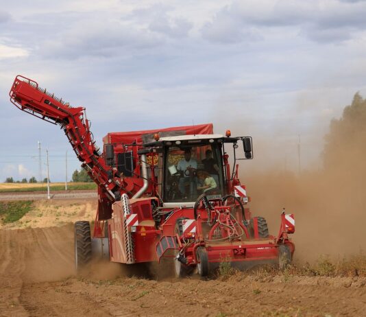 Spożycie przetworzonych ziemniaków w Europie wyższe niż świeżych III Ogólnopolskie Targi Ziemniaczane