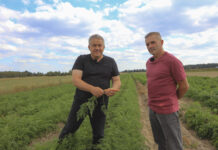 Ekologiczne warzywa z Lubelszczyzny. Ta technologia uprawy naprawdę działa!