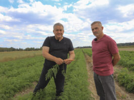 Ekologiczne warzywa z Lubelszczyzny. Ta technologia uprawy naprawdę działa!