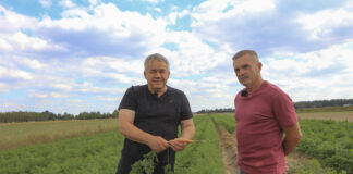 Ekologiczne warzywa z Lubelszczyzny. Ta technologia uprawy naprawdę działa!