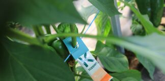 Biologiczne środki ochrony roślin – przyszłość nowoczesnego rolnictwa. Ale …