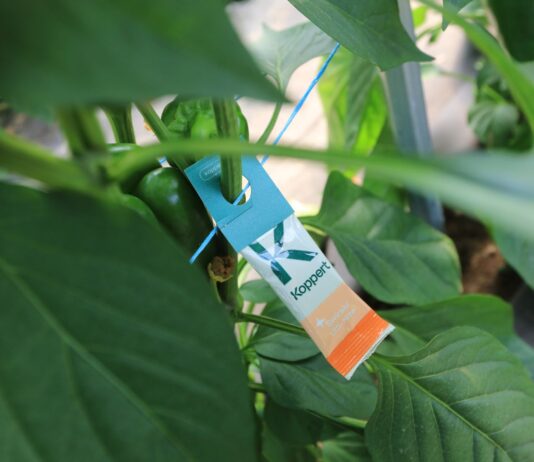 Biologiczne środki ochrony roślin – przyszłość nowoczesnego rolnictwa. Ale …