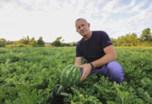 Arbuzy w Polsce? Tak – i to w trudnym sezonie. Plantacja pod Sandomierzem pokazuje potencjał