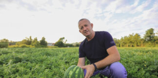 Arbuzy w Polsce? Tak – i to w trudnym sezonie. Plantacja pod Sandomierzem pokazuje potencjał