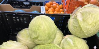 Kapusta – ceny i sytuacja na rynku kapusta ceny