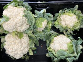 Kalafiory i brokuły – ceny na początku sierpnia kalafiory i brokuły, ceny kalafiora, ceny brokułów