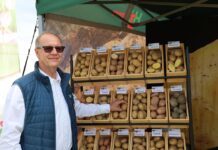 Ciekawe propozycje odmianowe od HZ Zamarte HZZ Zamarte, Piotr Kamiński, ziemniaki