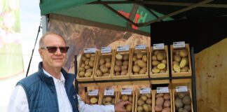 Ciekawe propozycje odmianowe od HZ Zamarte HZZ Zamarte, Piotr Kamiński, ziemniaki