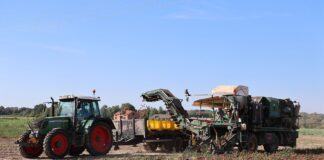 Zbiory warzyw większe niż przed rokiem – GUS opublikował najnowsze szacunki GUS, zbiory warzyw, zbiory, warzywa, pomidory