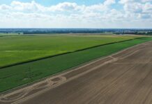 Nabory ARiMR w 2026 roku – znamy programy i terminy ARiMR, plantacja, nabory, warzywa