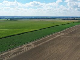 Nabory ARiMR w 2026 roku – znamy programy i terminy ARiMR, plantacja, nabory, warzywa