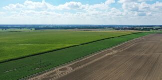 Nabory ARiMR w 2026 roku – znamy programy i terminy ARiMR, plantacja, nabory, warzywa