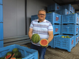 Dlaczego arbuz nie wypalił w 2025 roku? Koniec Złotego Graala