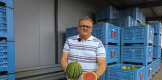 Dlaczego arbuz nie wypalił w 2025 roku? Koniec Złotego Graala