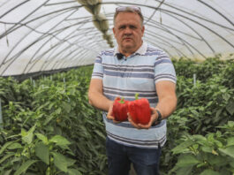 Papryka #ShelfLife – pierwszy sezon projektu podsumowuje Paweł Myziak