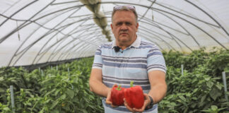 Papryka #ShelfLife – pierwszy sezon projektu podsumowuje Paweł Myziak