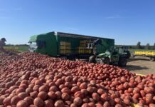 Ostatnia szansa na duże inwestycje w przetwórstwie rolnym: rusza kluczowy nabór z PS WPR 2023-2027 przetwórstwo, inwestycje w przetwórstwie