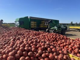 Ostatnia szansa na duże inwestycje w przetwórstwie rolnym: rusza kluczowy nabór z PS WPR 2023-2027 przetwórstwo, inwestycje w przetwórstwie