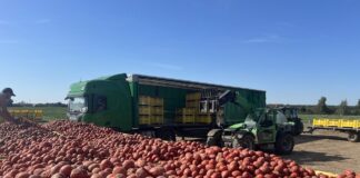 Ostatnia szansa na duże inwestycje w przetwórstwie rolnym: rusza kluczowy nabór z PS WPR 2023-2027 przetwórstwo, inwestycje w przetwórstwie