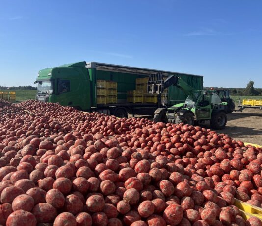 Ostatnia szansa na duże inwestycje w przetwórstwie rolnym: rusza kluczowy nabór z PS WPR 2023-2027 przetwórstwo, inwestycje w przetwórstwie