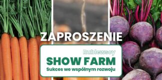 Bezpieczeństwo produkcji warzyw – dołącz do Show Farm 2025 już 17 września!