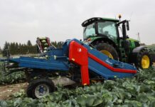 Małopolskie Dni Kapusty w Charsznicy: portfolio Bejo Zaden dla przetwórstwa, rynku świeżego i przechowywania KOMBAJNOY ZBIÓR KAPUSTY