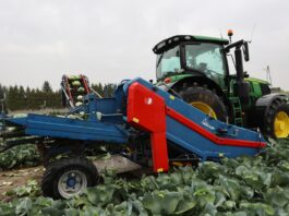 Małopolskie Dni Kapusty w Charsznicy: portfolio Bejo Zaden dla przetwórstwa, rynku świeżego i przechowywania KOMBAJNOY ZBIÓR KAPUSTY