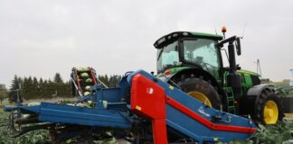 Małopolskie Dni Kapusty w Charsznicy: portfolio Bejo Zaden dla przetwórstwa, rynku świeżego i przechowywania KOMBAJNOY ZBIÓR KAPUSTY
