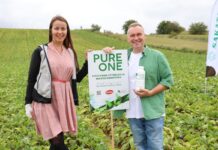 Nowoczesna biostymulacja w uprawach warzyw polowych