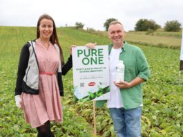 Nowoczesna biostymulacja w uprawach warzyw polowych