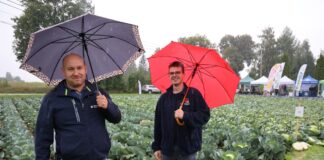 Technologie Rovensa w uprawie kapusty – praktyczne doświadczenia z Charsznicy