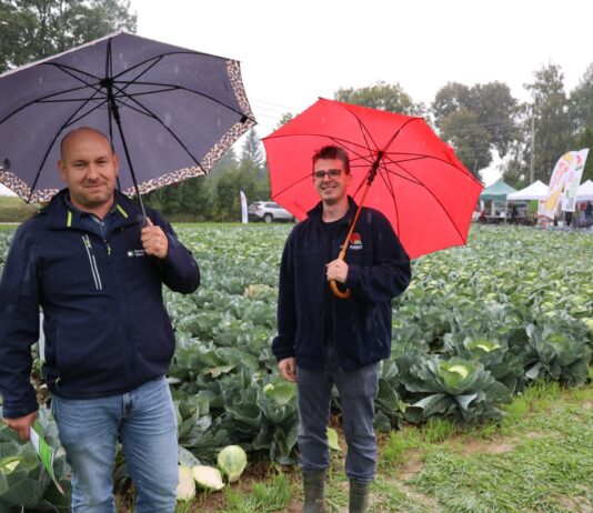 Technologie Rovensa w uprawie kapusty – praktyczne doświadczenia z Charsznicy