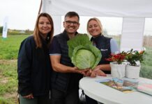 Małopolskie Dni Kapusty w Charsznicy – nowości i sprawdzone odmiany firmy Hazera Hazera, kapusta, Małopolskie Dni Kapusty, Charsznica