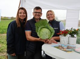 Małopolskie Dni Kapusty w Charsznicy – nowości i sprawdzone odmiany firmy Hazera Hazera, kapusta, Małopolskie Dni Kapusty, Charsznica