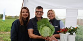 Małopolskie Dni Kapusty w Charsznicy – nowości i sprawdzone odmiany firmy Hazera Hazera, kapusta, Małopolskie Dni Kapusty, Charsznica