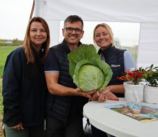 Małopolskie Dni Kapusty w Charsznicy – nowości i sprawdzone odmiany firmy Hazera Hazera, kapusta, Małopolskie Dni Kapusty, Charsznica
