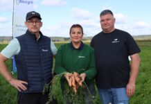 Marchew na każdą okazję. Odmiany Hazera zaprezentowane podczas Show Farm