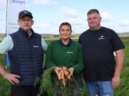 Marchew na każdą okazję. Odmiany Hazera zaprezentowane podczas Show Farm