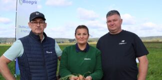 Marchew na każdą okazję. Odmiany Hazera zaprezentowane podczas Show Farm