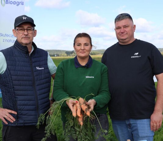 Marchew na każdą okazję. Odmiany Hazera zaprezentowane podczas Show Farm