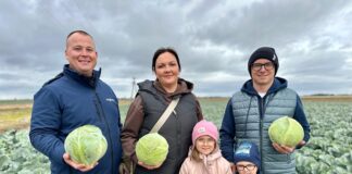 Kapuściane nowości na polach produkcyjnych pod Sieradzem