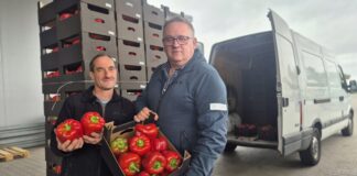 Bo za każdą papryką stoi człowiek i rodzina. Dlaczego trzeba kupować polską paprykę!