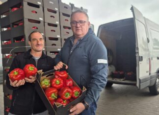 Bo za każdą papryką stoi człowiek i rodzina. Dlaczego trzeba kupować polską paprykę!