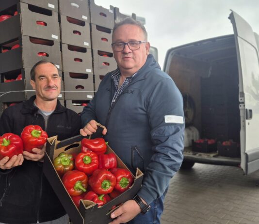 Bo za każdą papryką stoi człowiek i rodzina. Dlaczego trzeba kupować polską paprykę!