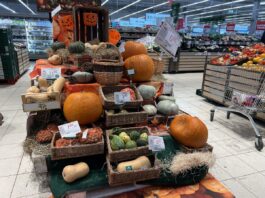 Ceny dyń w Halloween – hurt i detal ceny dyń