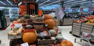 Ceny dyń w Halloween – hurt i detal ceny dyń